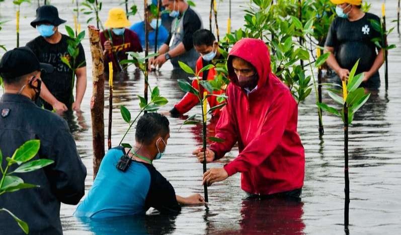 Presiden Jokowi tanam pohon mangrove bersama masyarakat di Pantai Setokok Kepulauan Riau. (Foto: Setpres)