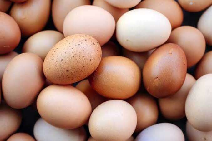 Ilustrasi telur ayam ras (Foto: pertanianku.com)
