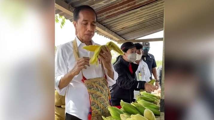 Presiden Jokowi membeli jagung rebus di pinggir jalan di sela kunjungan ke Sorong. (Foto:  Setpres)Youtube