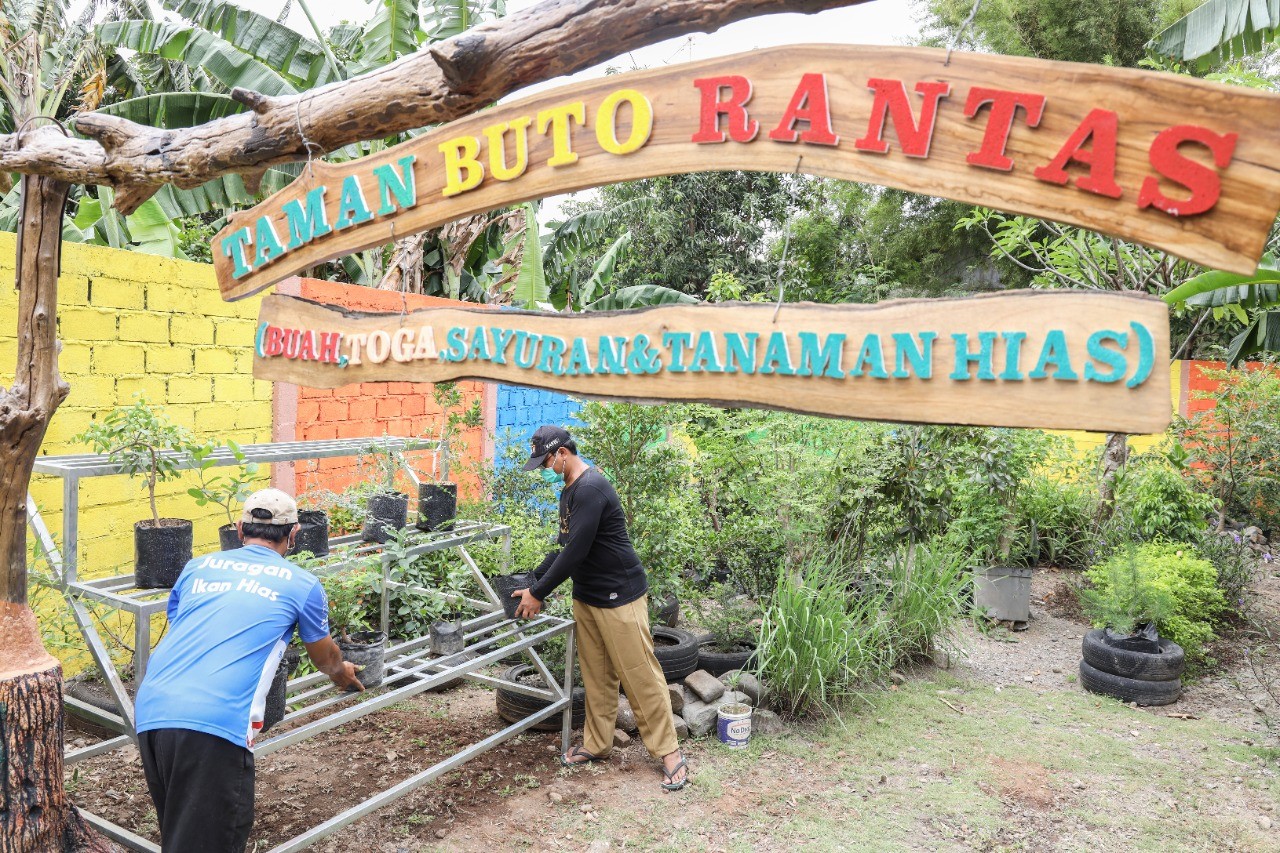Berangkat Dari Hobi, Cikal Bakal Kampung Herbal di Mojoroto Kota Kediri (istimewa)