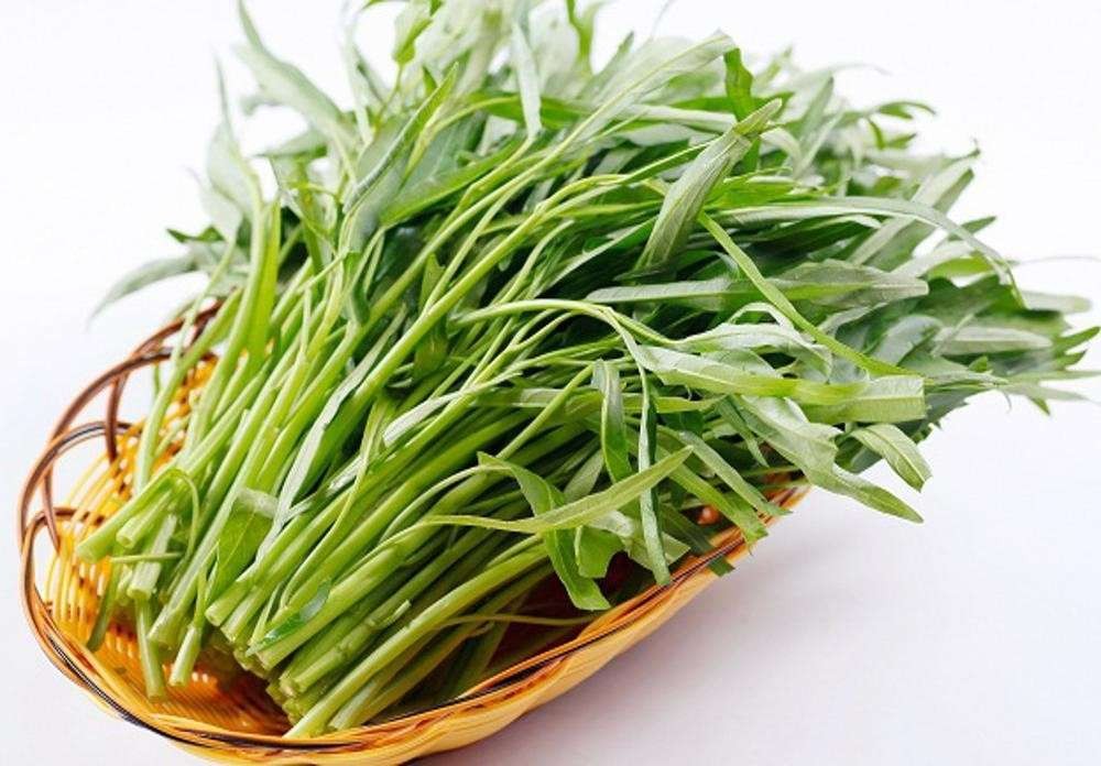 Ilustrasi sayuran kangkung. (Foto: Istimewa)
