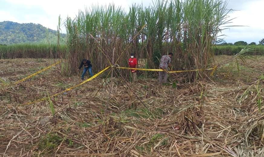 Anggota Polresta Banyuwangi melakukan olah TKP ulang di sekitar kebun tebu lokasi ditemukannya kerangka Mr. X (foto: Istimewa)