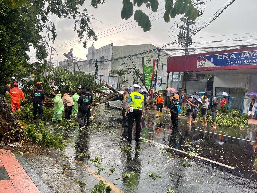Petugas Polres Jember, BPBD dan TNI bersama warga memotong pohon tumbang yang menimpa mobil di Jalan Ahmad Yani (Foto: Istimewa)