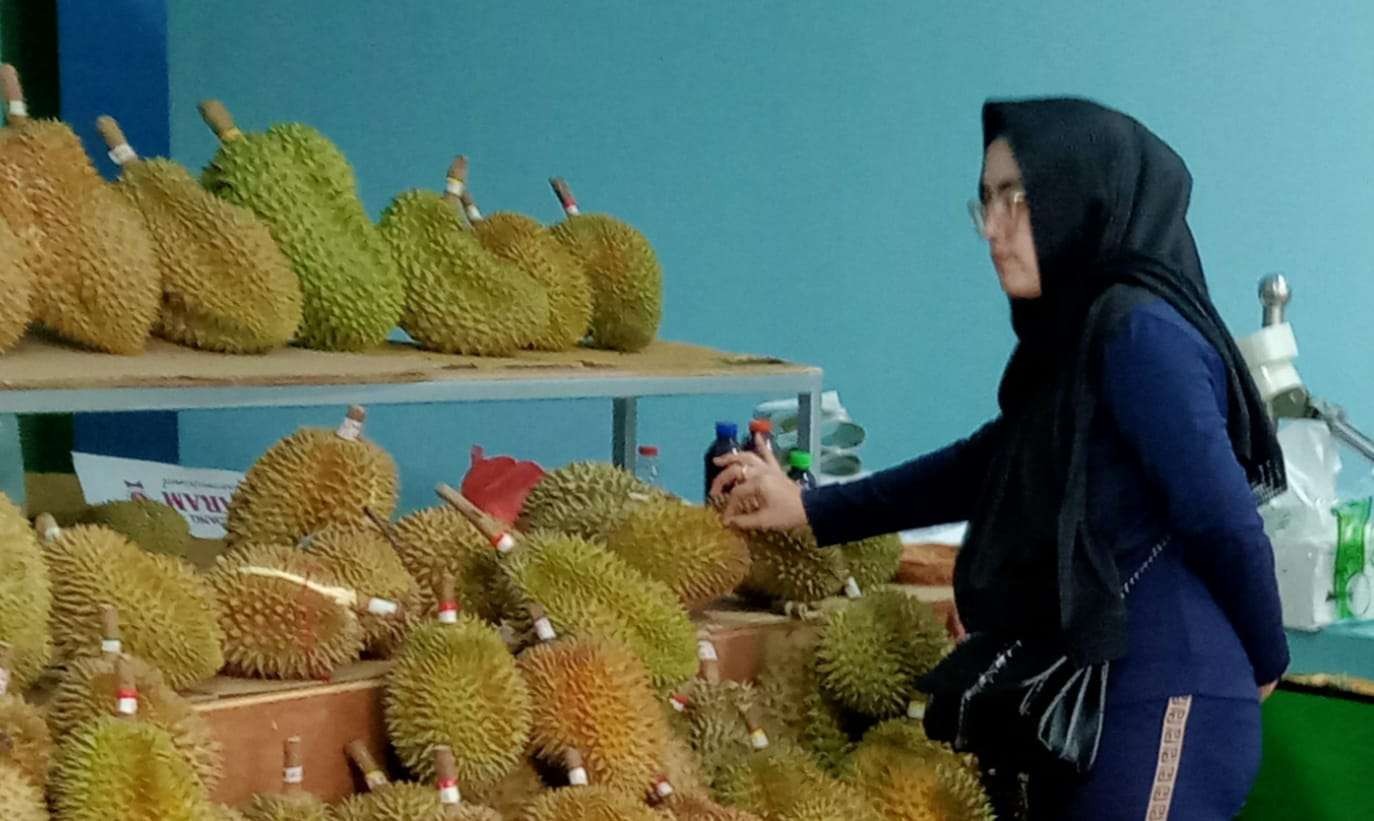 Ilustrasi seorang pembeli yang sedang memilih durian di Rumah Sari Durian Surabaya. (Foto: Istimewa)