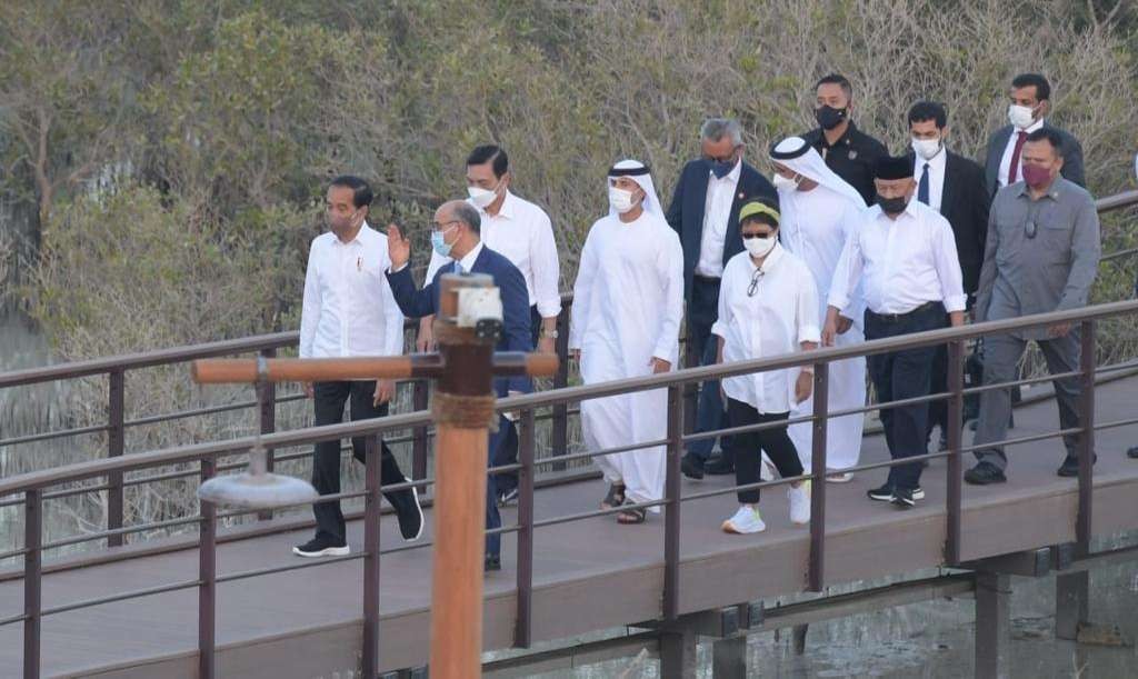 Presiden Joko Widodo meninjau Jubail Mangrove Park Abu Dhabi. (Foto: Setpres)