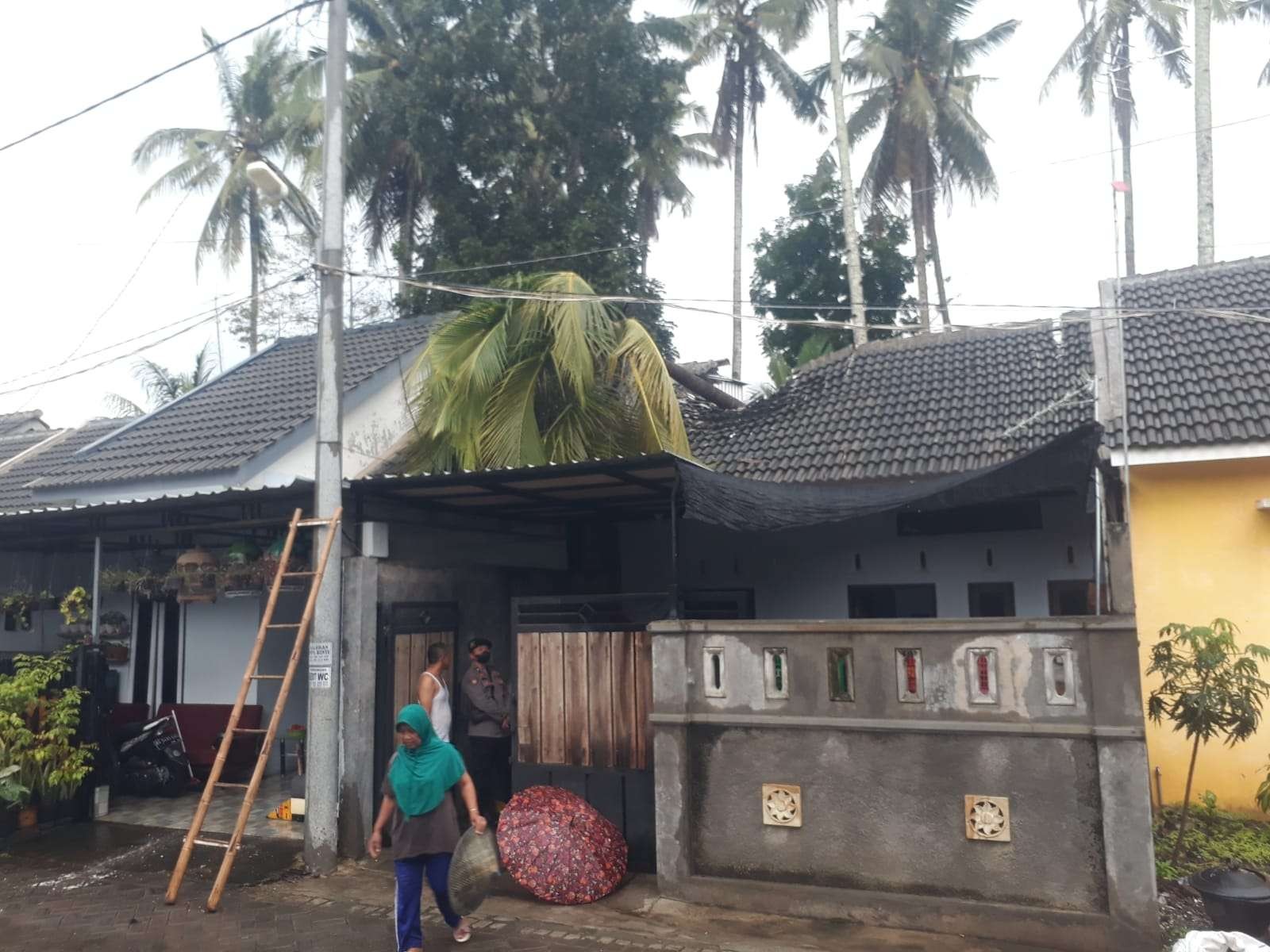 Dua rumah warga di Blitar tertimpa pohon roboh akibat hujan disertai angin kencang, Senin, 8 November 2021. (Foto: Choirul Anam/Ngopibareng.id)