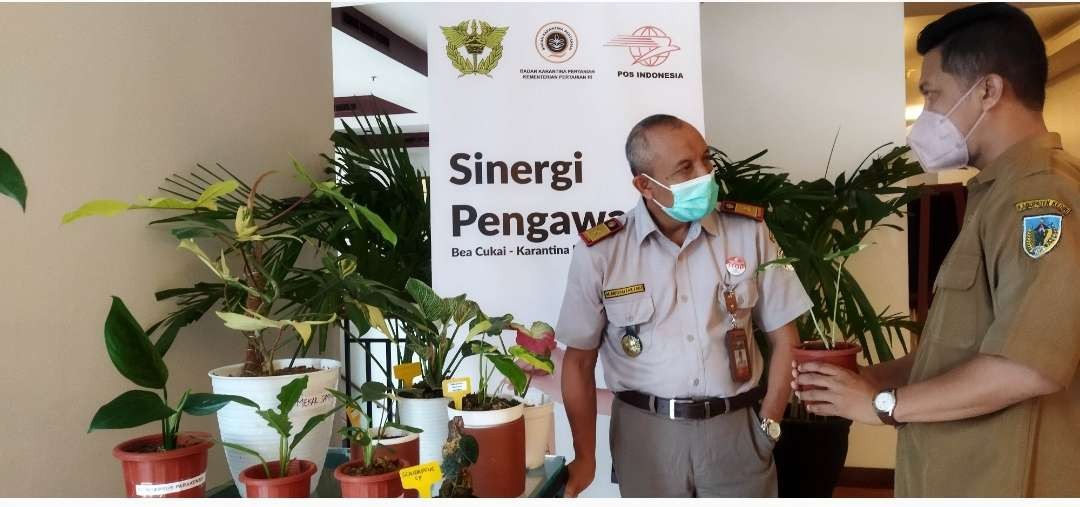 Kepala Karantina Pertanian Surabaya, Musyaffak pada saat membuka acara Bimbingan Teknis Perkarantinaan Tumbuhan untuk Ekspor Tanaman Hias di Grand Surya, Kediri 16 November 2021. (Foto: Fendhy Plesmana/Ngopibareng.id)