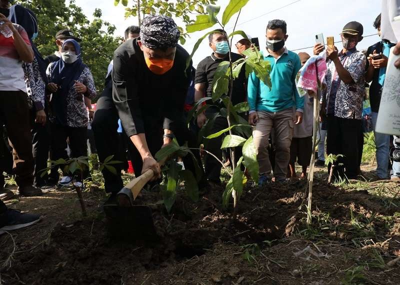 Gubernur Jawa Tengah Ganjar Pranowo menanam pohon di Desa Pesanggrahan, Cilacap, Kamis 18 November 2021. (Foto: Istimewa)