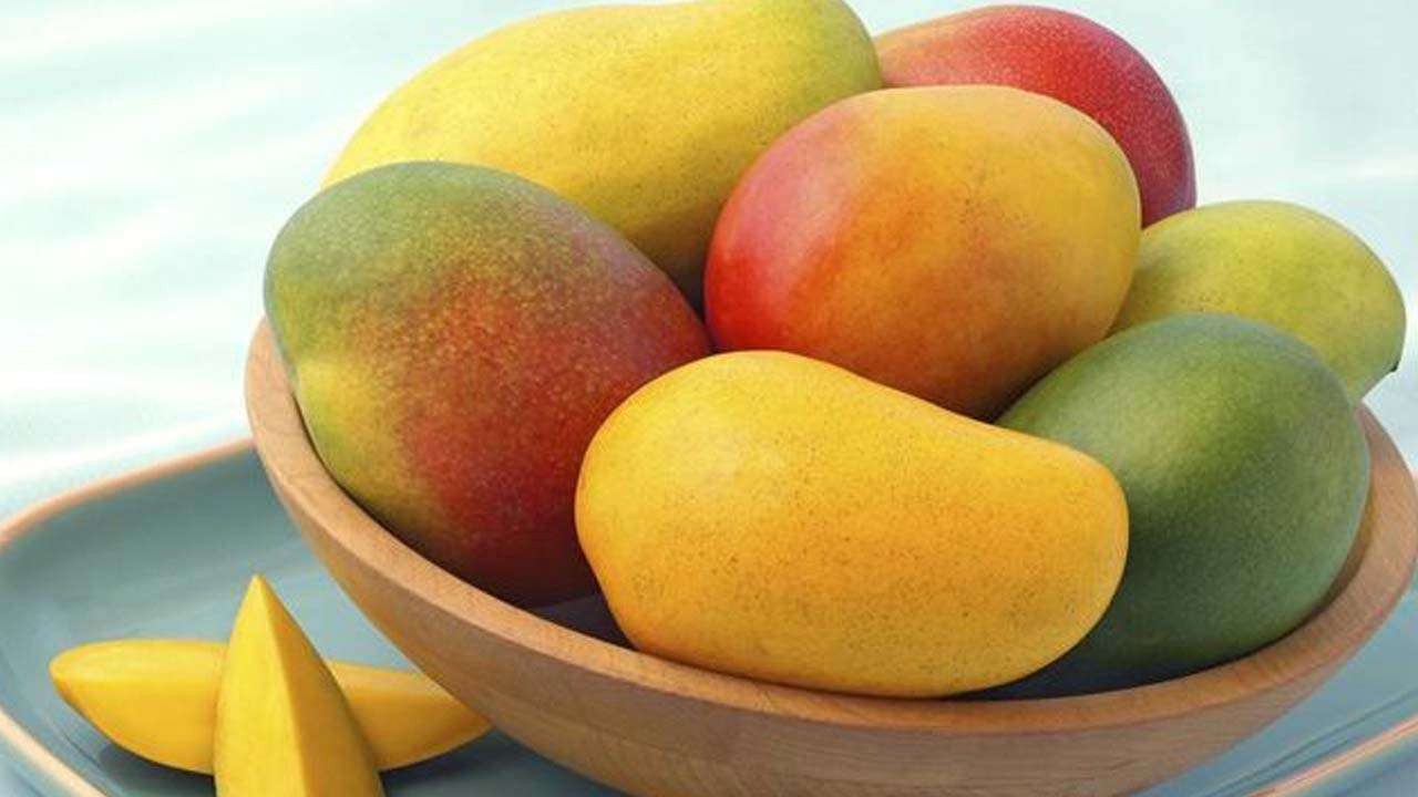 Ilustrasi buah mangga memiliki banyak manfaat untuk kesehatan tubuh. (Foto: Istimewa)