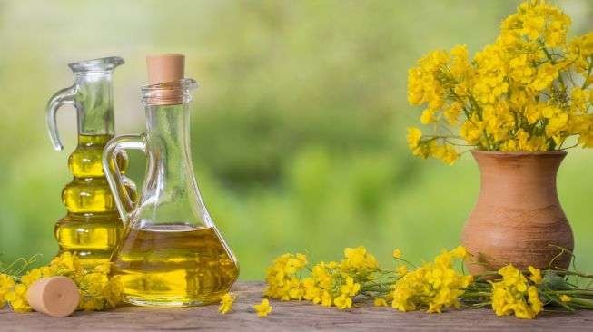 Ilustrasi minyak canola berasal dari bunga kuning yang memiliki berbagai manfaat baik. (Foto: Istimewa)