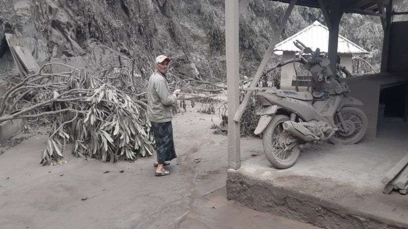 Warga mengevakuasi barang-barangnya yang berharga untuk diselamatkan dari erupsi Semeru. (Foto: Ant)