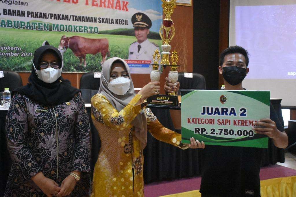 Bupati Mojokerto serahkan trofi dan hadiah kepada para pemenang kontes peternak. (Foto: Deni Lukmantara/Ngopibareng.id)