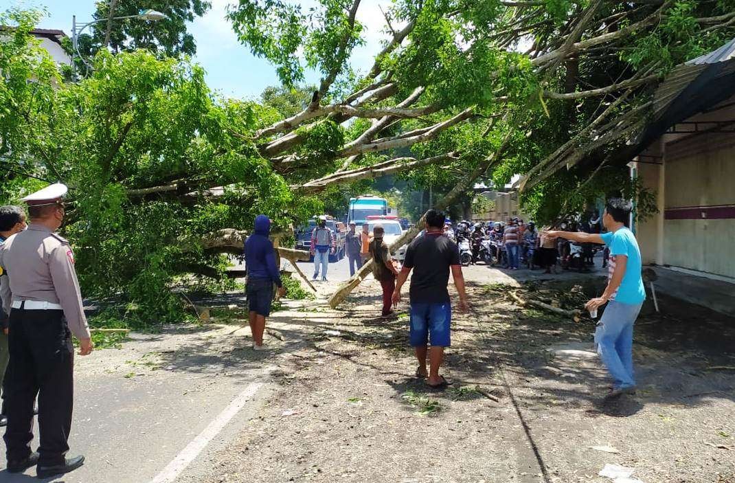 Petugas sedang memotong cabang pohon yang tumbang di Jalan Raya Mangir Banyuwangi (foto: istimewa)