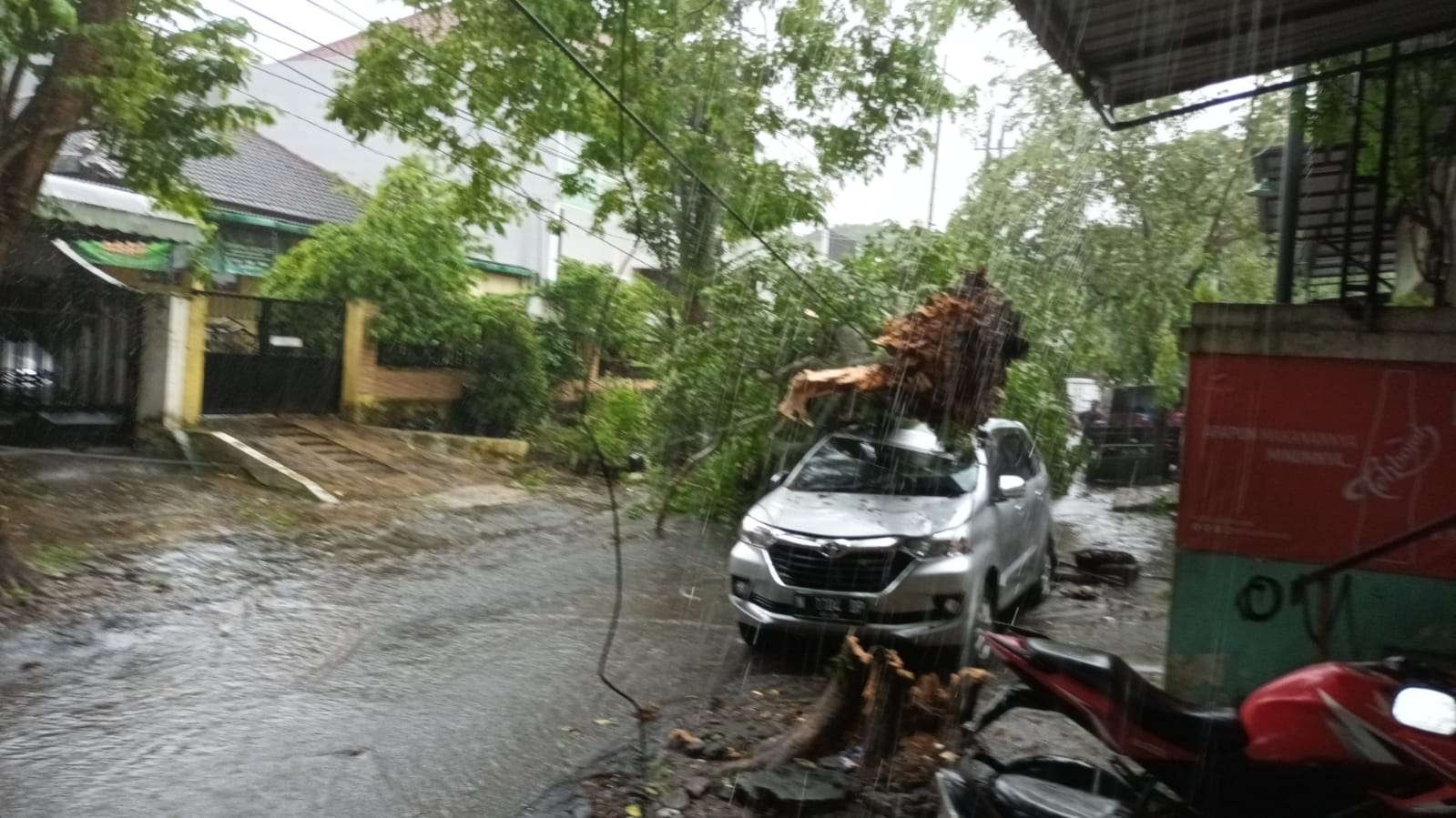 Pohon tumbang menimpa satu unit mobil di Kota Malang. (Foto: istimewa)