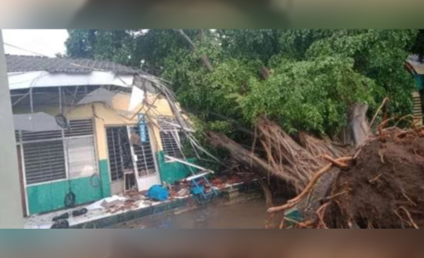 Pohon tumbang menimpa ruangan di SMAN 2 Kota Pasuruan (istimewa)