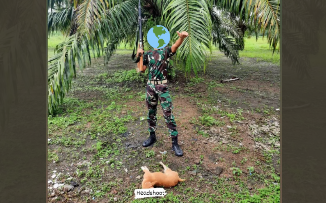 Foto sosok berseragam TNI menenteng senjata laras panjang dan berpose di depan bangkai anjing, sempat viral dan mendapat kecaman netizen. (Foto: tangkapan layar)