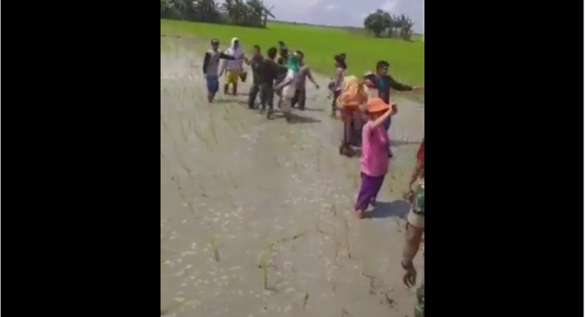 Video yang memperlihatkan perkelahian antara sekelompok anggota TNI Angkatan Darat (AD) dan petani di tengah sawah, viral di media sosial. (Foto: tangkapan layar Twitter)