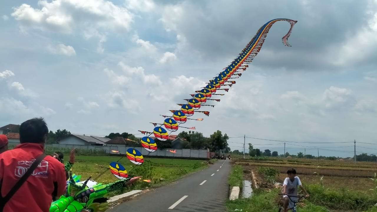 Warga sedang menerbangkan layang-layang naga di kawasan persawahan Kelurahan Sumbertaman, Kota Probolinggo. (Foto: Ikhsan Mahmudi/Ngopibareng.id)