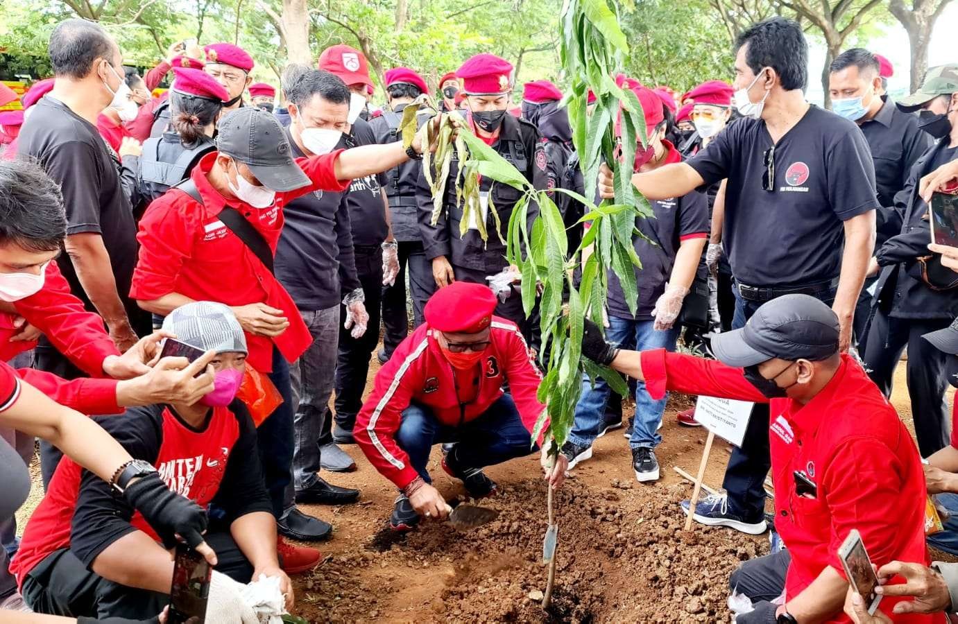 Elit dan kader PDI Perjuangan bersih-bersih sungai dan tanam pohon mangga rayakan HUT ke-49 PDIP. (Foto: Istimewa)
