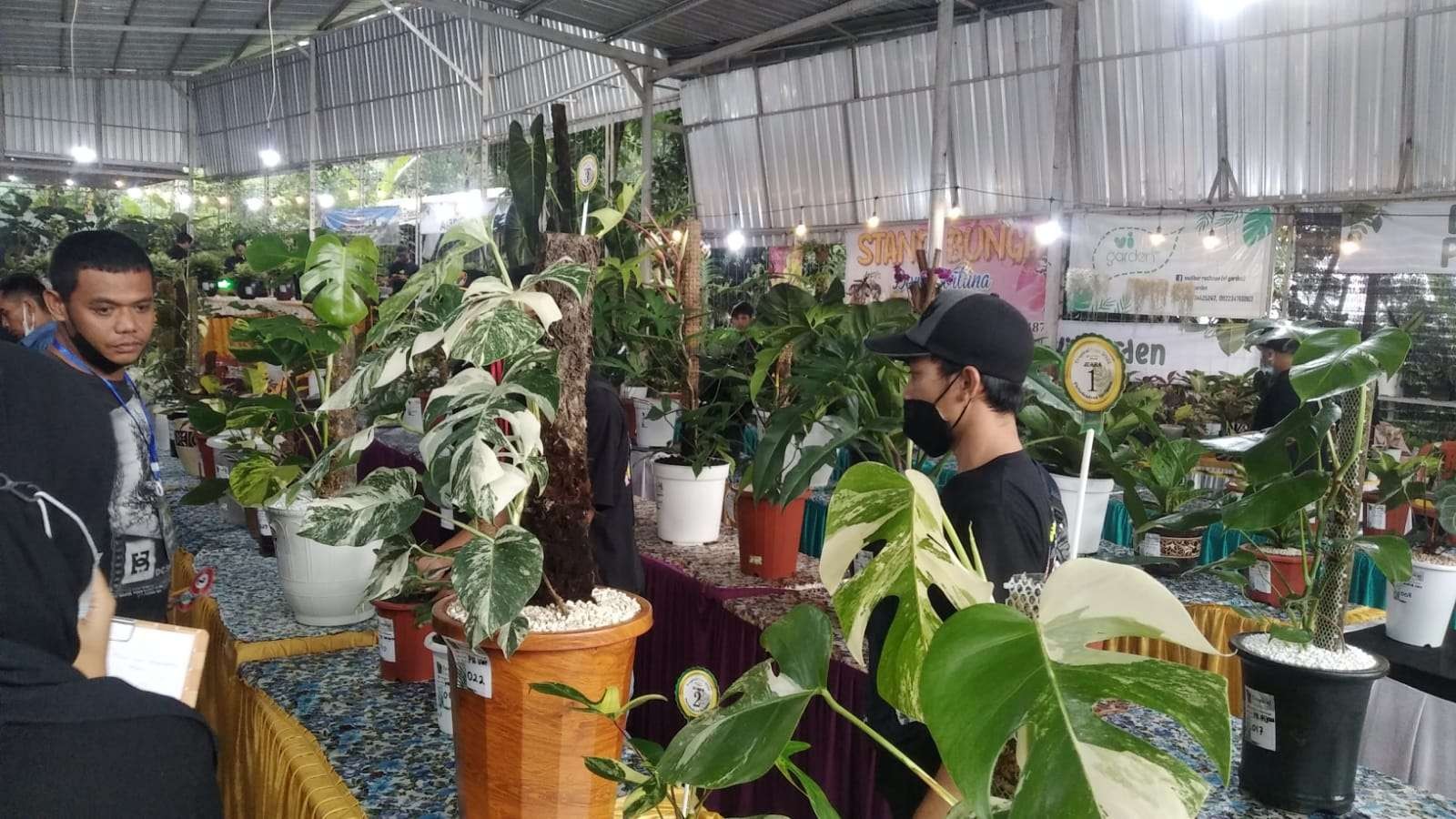Ngopibareng PintuLangit menggelar Tropical Expo yakni pameran tanaman khas tropis. (Foto: Istimewa)