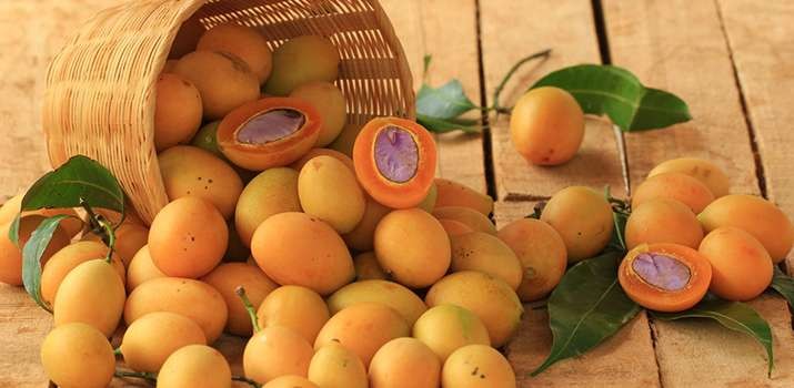 Ilustrasi buah langka yang ada di Indonesia. (Foto: Istimewa)