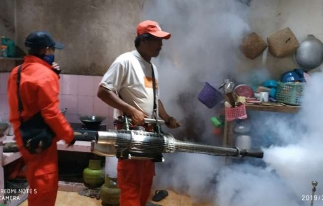 Fogging untuk membunuh nyamuk Aedes Aegypti dilakukan Dinkes Bondowoso guna mencegah penyebaran DBD dan Cikungunya. (foto:guido/ngopibareng.id)