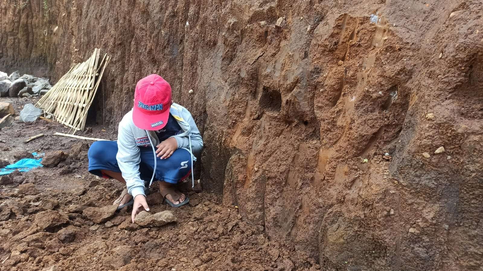 Pecahan tanah yang diduga bagian dari relief kepala barong berceceran di tanah tak jauh jauh dinding tanah yang dikeruk. (Foto:Muh Hujaini/Ngopibareng.id)