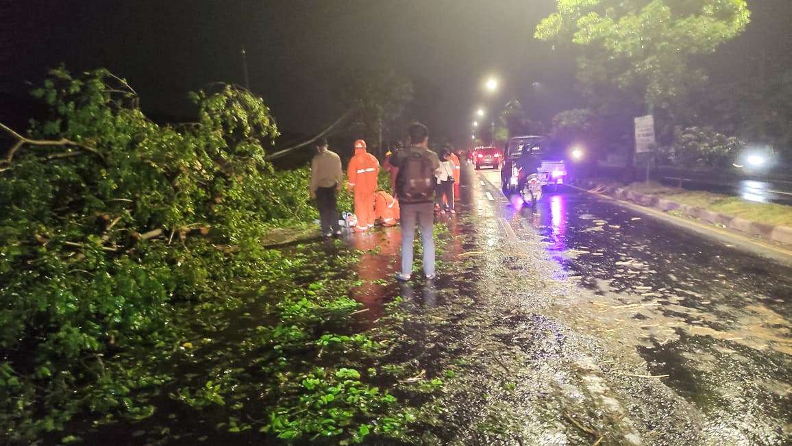 Pohon tumbang di jalan raya Tanggulangin. (Foto: Aini/Ngopibareng.id