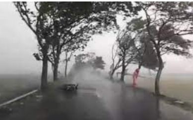 Hujan disertai angin kencang berlangsung di wilayah Dusun Boro, Jabung, Kabupaten Malang, Sabtu 29 Januari 2022, pukul 14:25 WIB. (Ilustrasi, Foto: gridmotor))