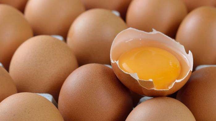 Ilustrasi telur kaya vitamin B16 bagus untuk imunitas tubuh selama pandemi Covid-19. (Foto: Istimewa)