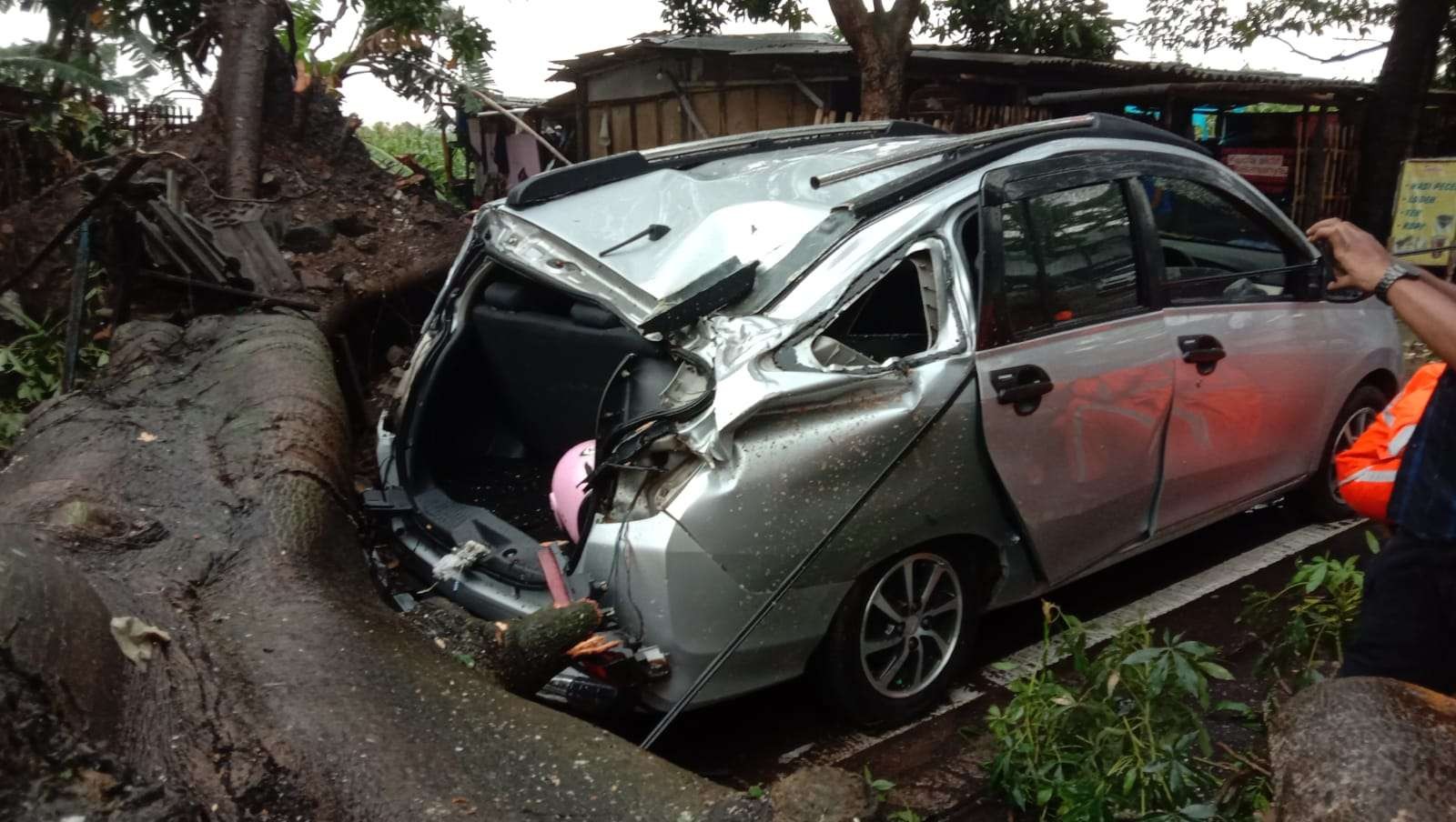 Sebuah mobil tertimpa pohon tumbang akibat hujan deras yang melanda Kota Malang. (Foto: Istimewa)