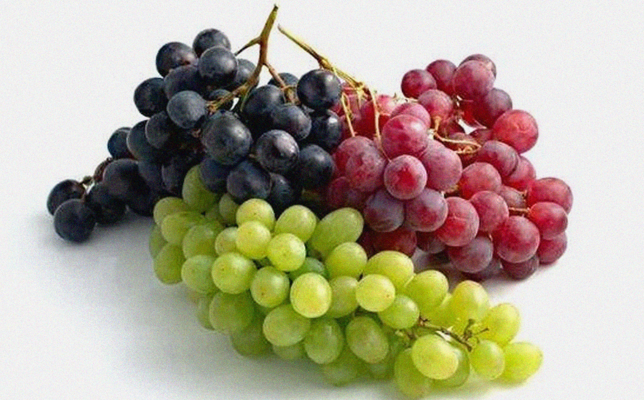 Ilustrasi buah anggur bermanfaat bagi kesehatan. (Foto: Istimewa)