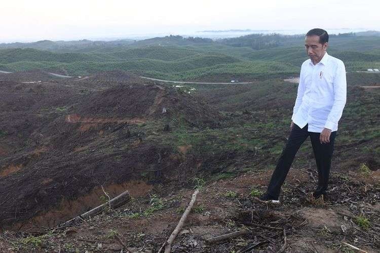 Presiden Jokowi di Titik Nol, Ibu Kota Negara (IKN) Nusantara dri Penajam Paser Utara, Kalimantan Timur (Kaltim). (Foto: Dok. Setpres)