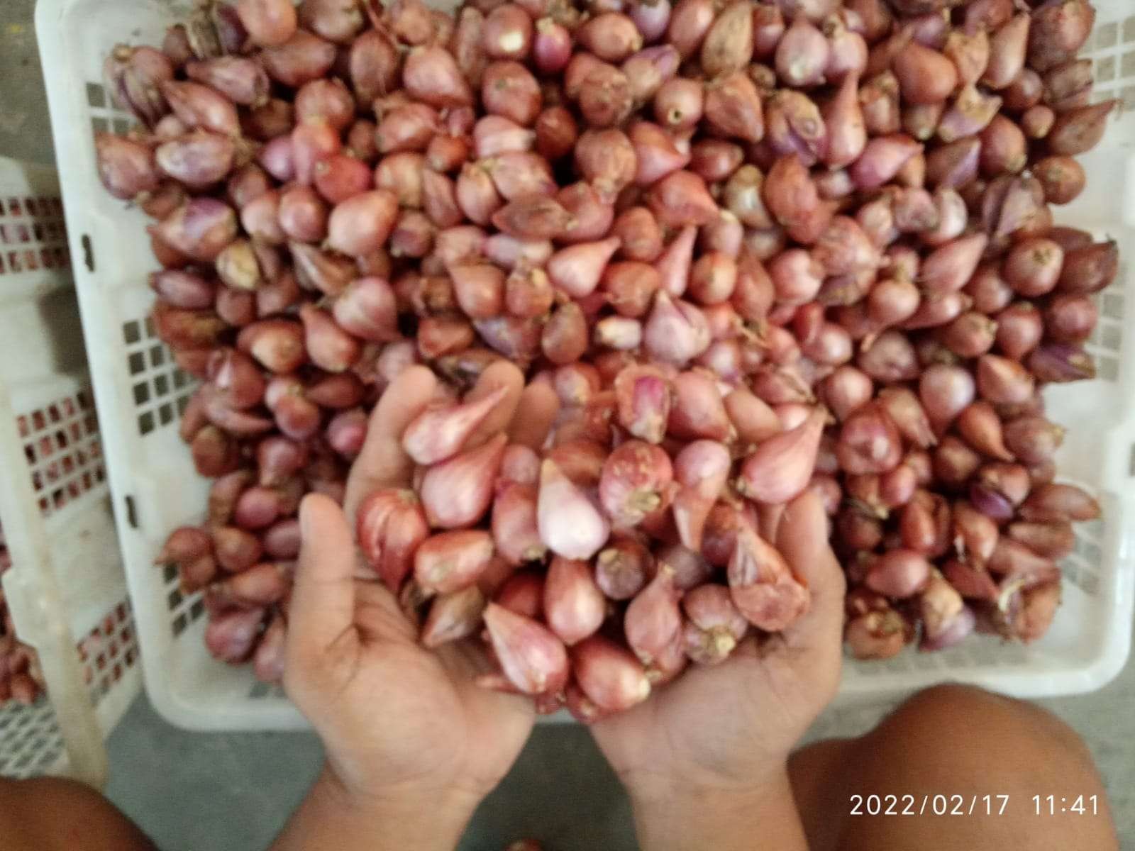 Bawang merah kualitas super, kini harganya ikut naik di pasaran di Bojonegoro. (Foto: Sujatmiko/Ngopibareng.id)