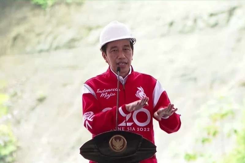 Presiden Jokowi meresmikan PLTA Poso dan Malea. (Foto: Setpres)