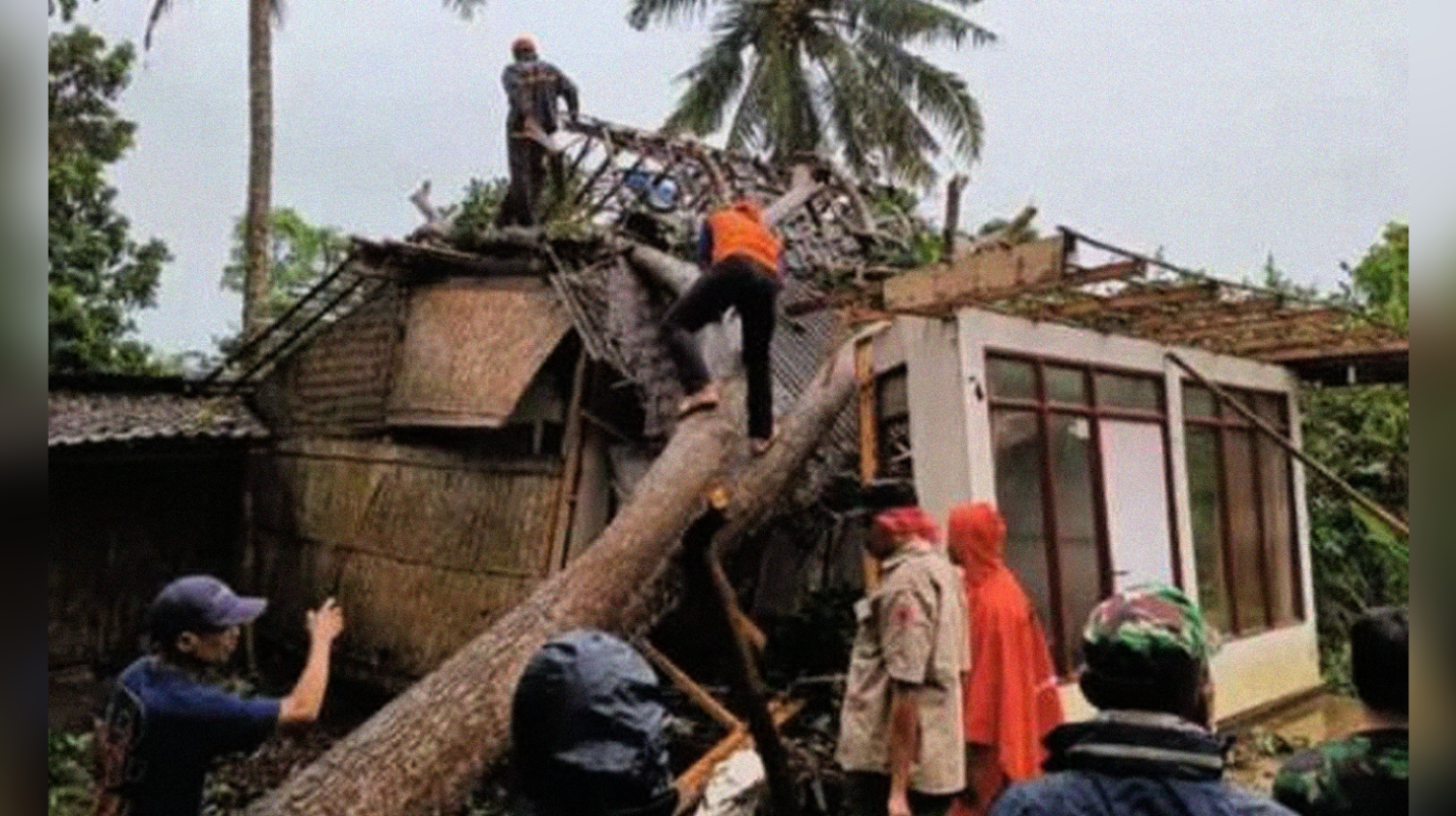 Petugas BPBD, TNI, dan Polri mengevakuasi pohon besar tumbang menimpa rumah warga Desa Sukowono, Kecamatan Pujer. (foto:BPBD Bondowoso)