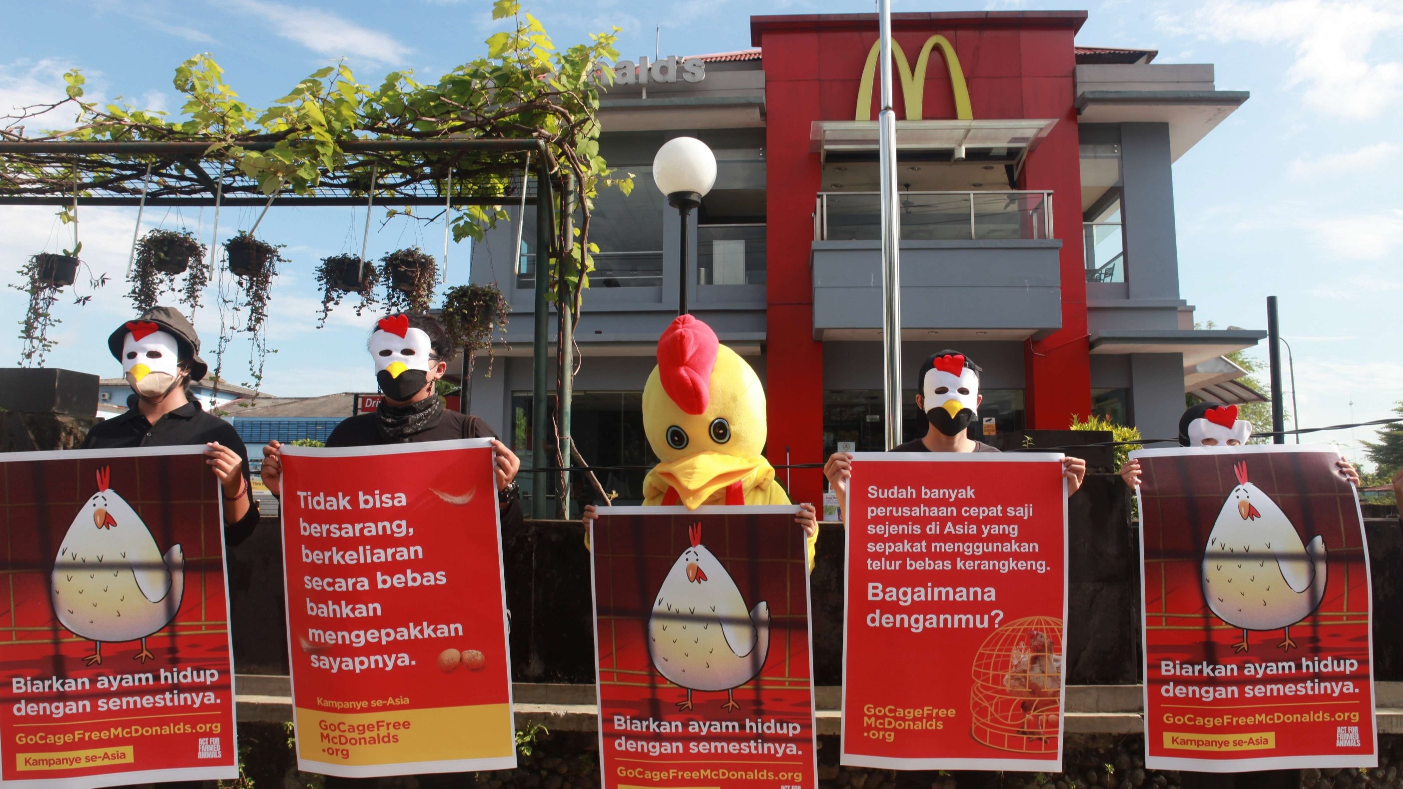 Para aktivis di Yogyakarta saat berunjuk rasa menentang penggunaan kandang batere untuk ayam petelur yang digunakan oleh McDonalds. (Foto: Istimewa)