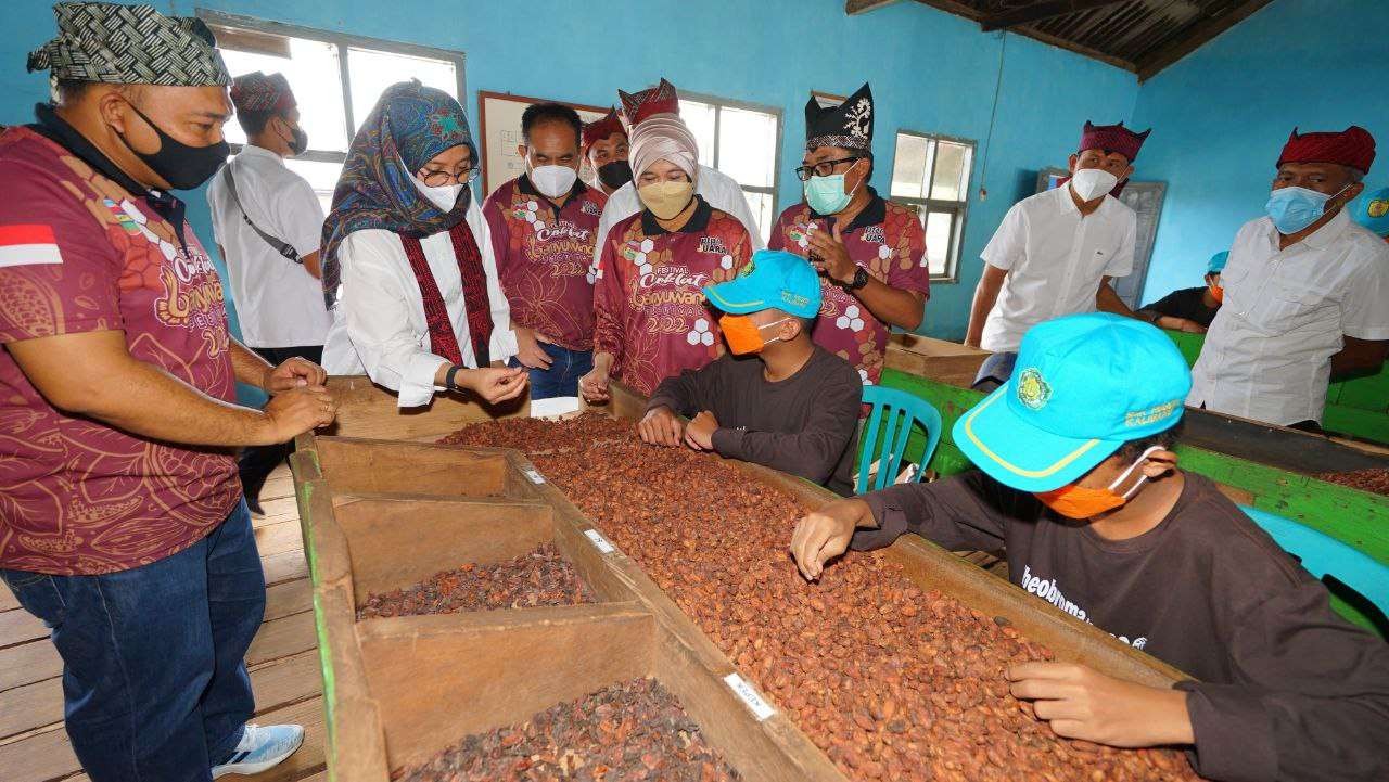 Bupati Banyuwangi Ipuk Fiestiandani melihat proses pemilihan biji kakao kering di Doesoen Kakao (foto: istimewa)