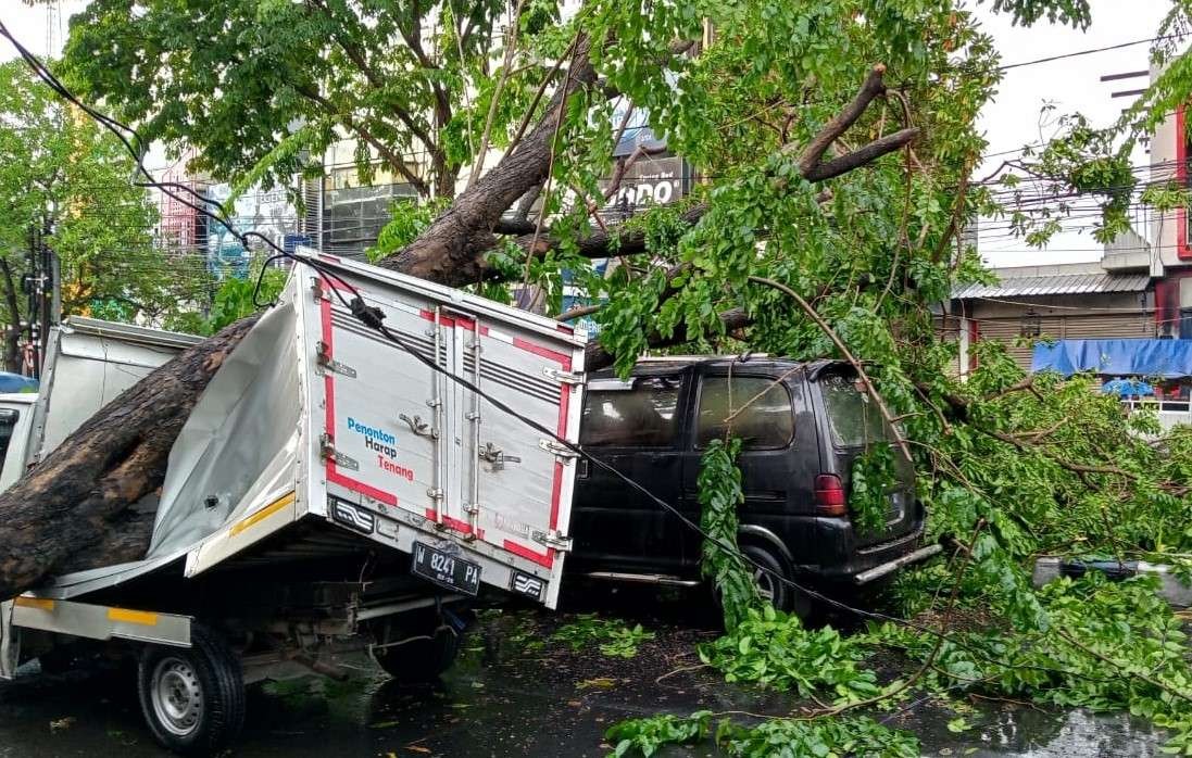 Sejumlah kendaraan tertimpa pohon tumbang di Sidoarjo. Pohon tumbang itu akibat hujan deras disertai angin kencang melanda Sidoarjo, Sabtu, 19 Maret 2022. (Foto: Istimewa)