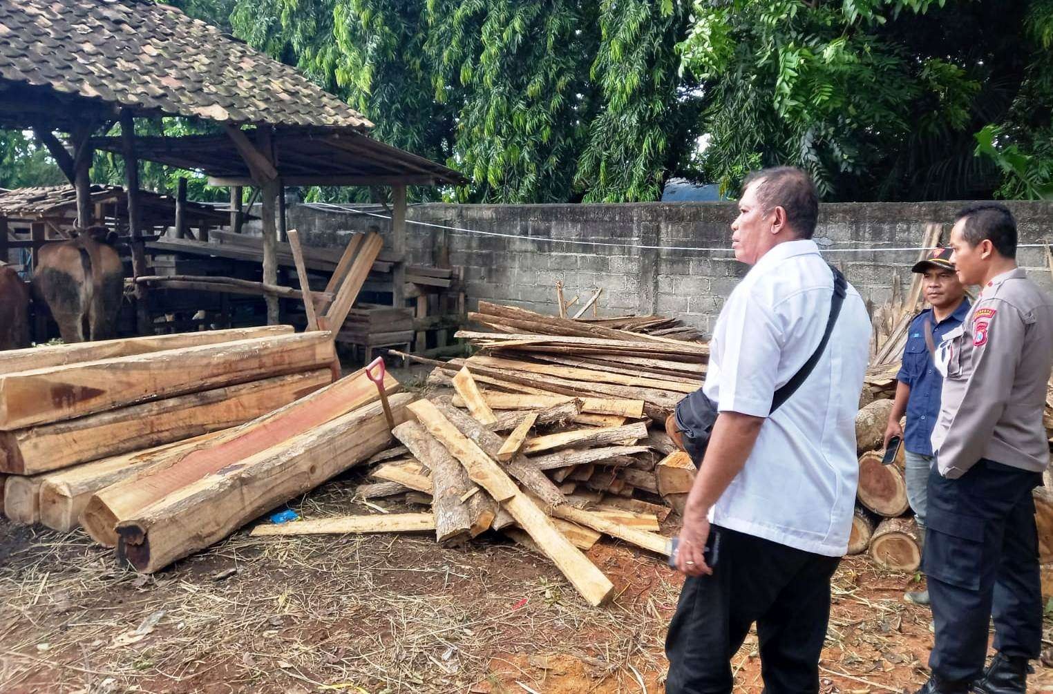 Petugas mengecek kayu jati yang ditemukan di belakang rumah Sg (foto:istimewa)