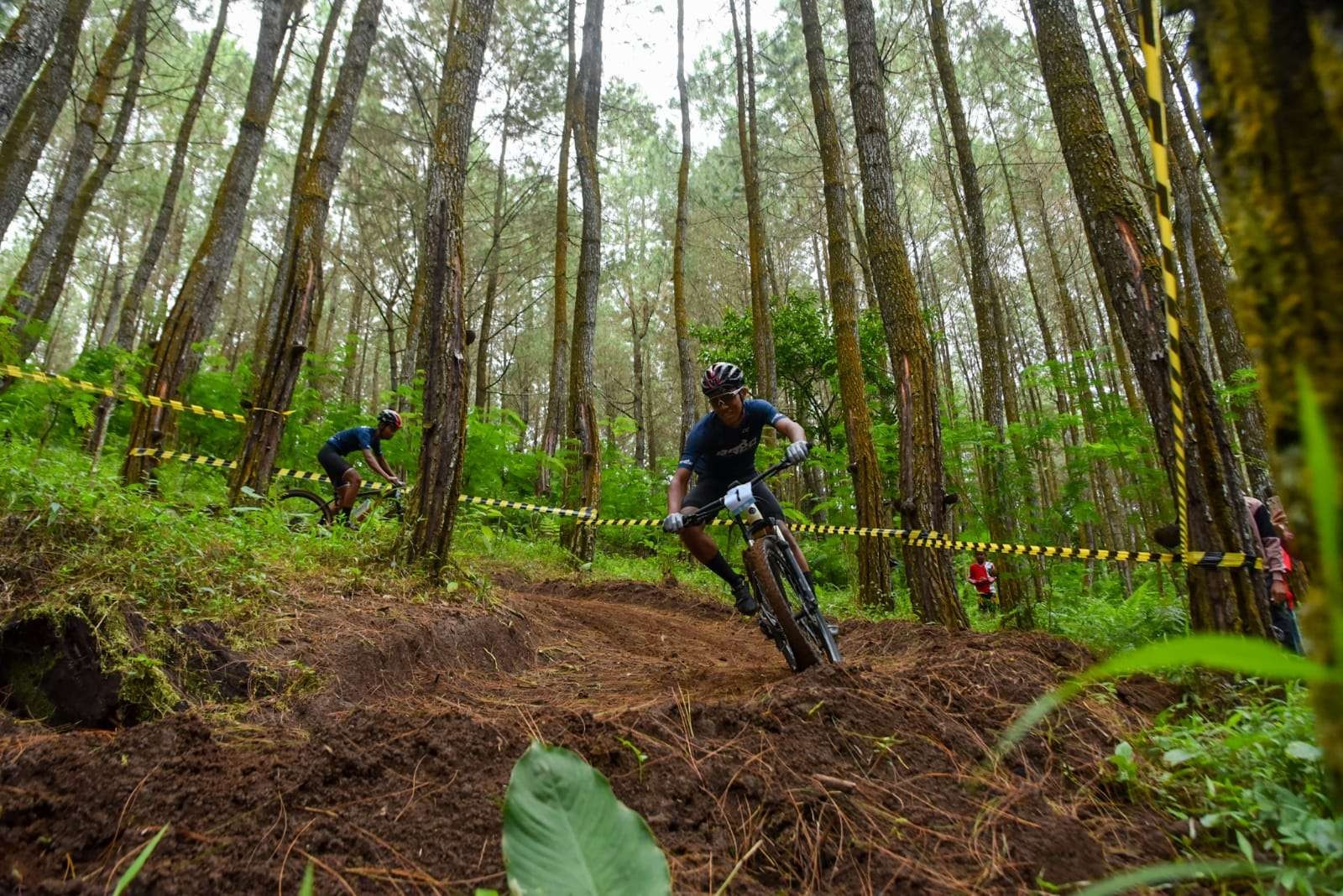 Sejumlah atlet Banyuwangi melintasi Aghatis Forest Track, sirkuit bersepeda terbaru di Banyuwangi yang berstandar internasional (foto: istimewa)