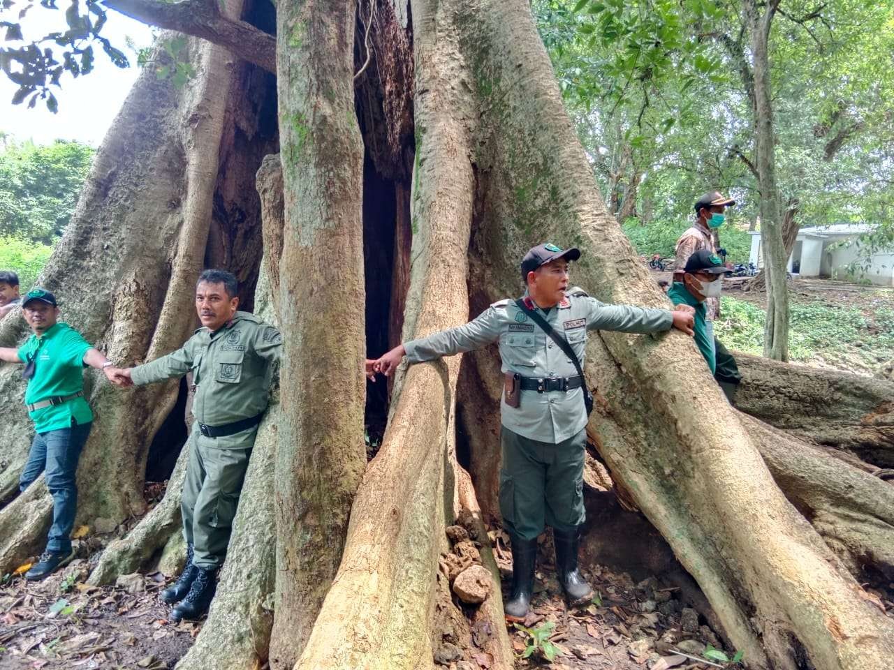 Perangkat Desa Ngunut dan anggota Polisi Hutan RPH Pradoh Pehutani, menggelar kegiatan tanam pohon kayu putih. Juga mengukur besarnya pohon winong pohon di area telaga Grogolan Minggu 20 Maret 2022.(Foto: dok.Desa Ngunut/ngopibareng.id)