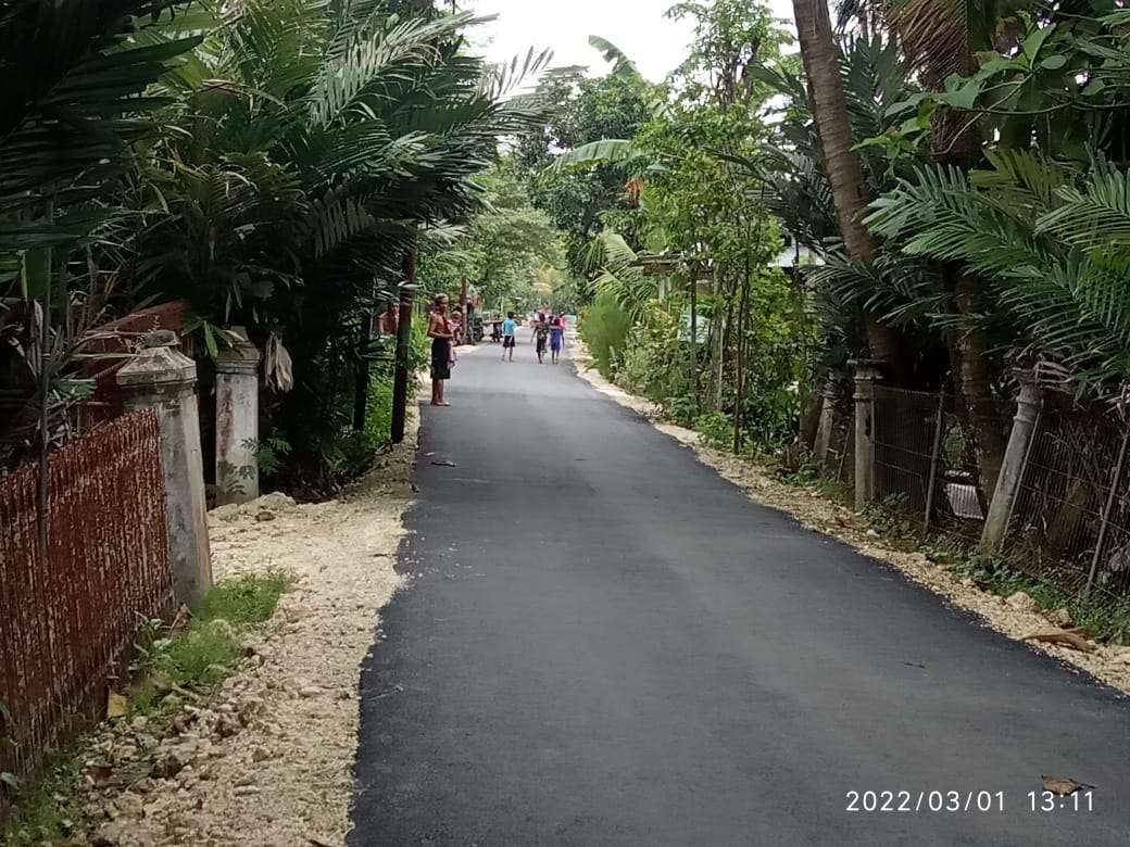 Salah satu sudut perkampungan Salak di Desa Wedi, Kecamatan Kapas, Bojonegoro, Jawa Timur, yang akan terkena proyek jalan Tol Ngaroban. (Foto: Sujatmiko/Ngopibareng.id)