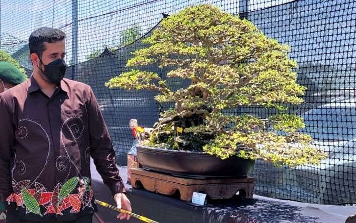 Walikota Probolinggo, Habib Hadi Zainal Abidin saat melihat pameran bonsai di lapangan Batalyon Zeni Tempur (Yon Zipur) 10 Probolinggo yang berlangsung, 19-27 Marett 2022. (Foto: Ikhsan Mahmudi/Ngopibareng.id)