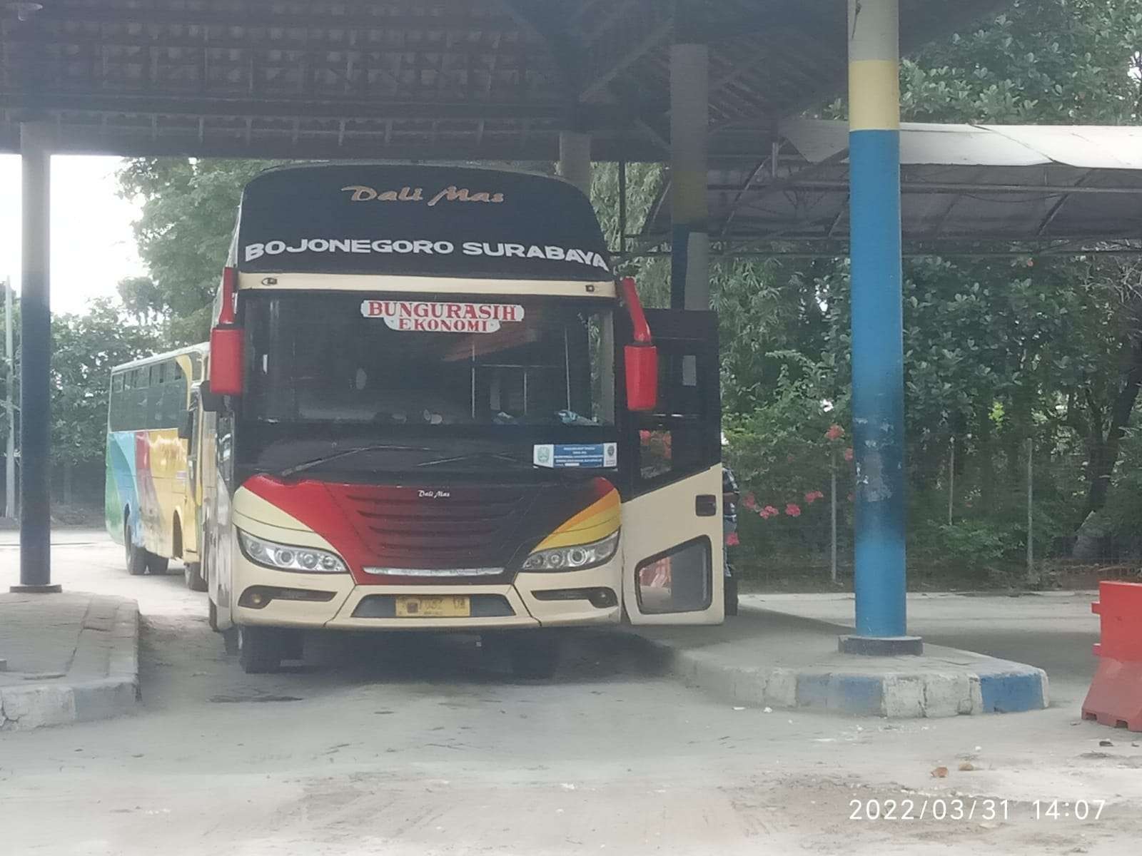Bus jurusan Bojonegoro-Lamongan-Surabaya yang antre berangkat di Terminal Rajekwesi Kabupaten Bojonegoro, Jawa Timur. (Foto: Sujatmiko/Ngopibareng.id)