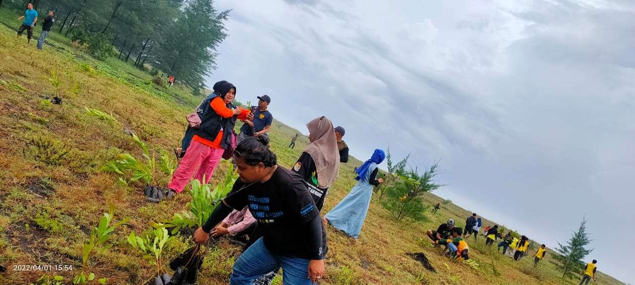 Puluhan relawan konservasi  terlihat melakukan penanaman pohon di pantai Mbah Drajid, Desa Wotgalih, Kecamatan Yosowilangun, Kabupaten Lumajang, Jawa Timur. (Foto:Istimewa)