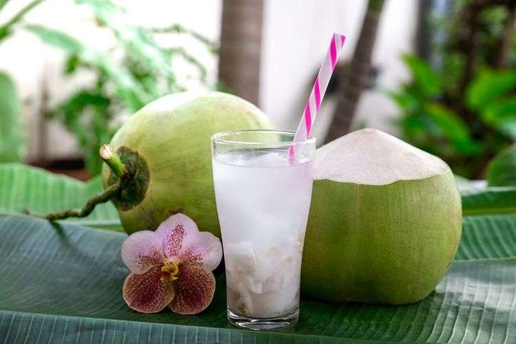 Ilustrasi resep kreasi es kelapa muda yang cocok untuk menu takjil buka puasa.(foto: istimewa).