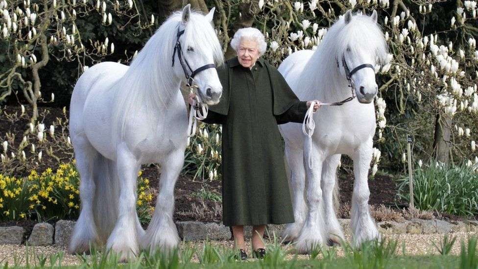 Ratu Elizabeth rayakan ulang tahun ke-96 berfoto bersama dua kuda poni. bernama Bybeck Katie dan Bybeck Ningtingale. (Foto: Instagram @theroyalfamily)