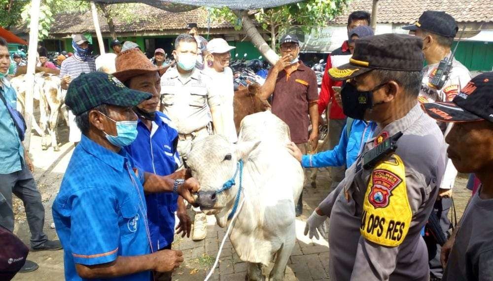 Tim Dinas Peternakan Kabupaten Pasuruan turun untuk mencegah penyakit mulut dan kuku (PMK). (Foto: ist)