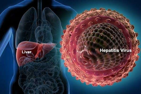 Ilustrasi sebaran hepatitis. (Foto: Istimewa)